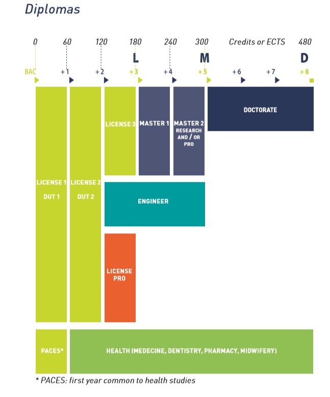 Plan of studies - English version Nantes Université